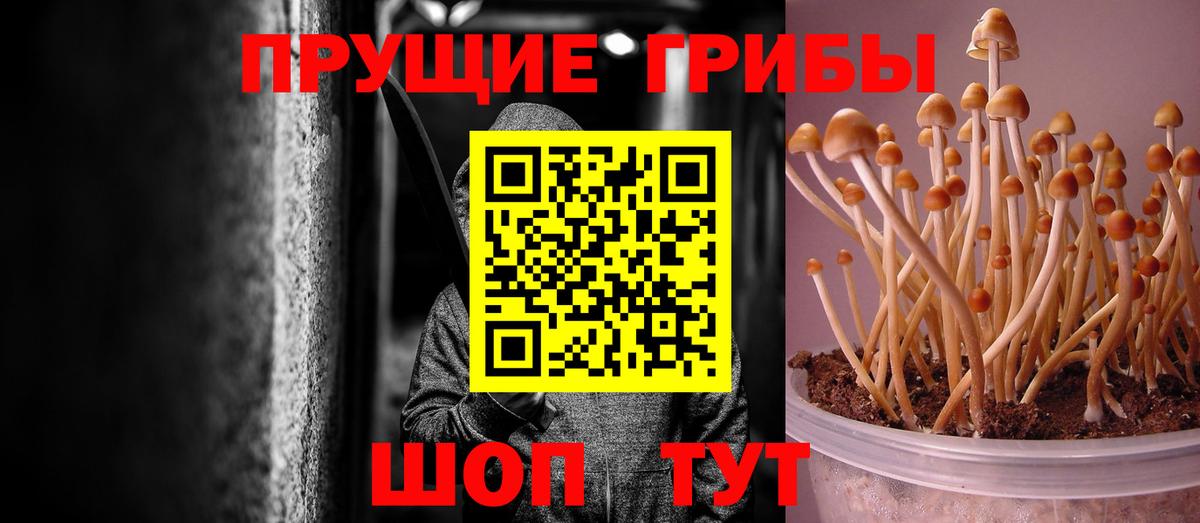 Псилоцибиновые грибы прущие грибы  Галлюциногенные грибы Magic Shrooms  Вход с VPN  Туймазы 