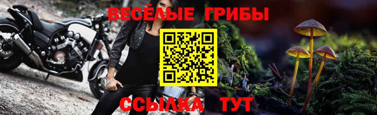 Псилоцибиновые грибы мухоморы Туймазы